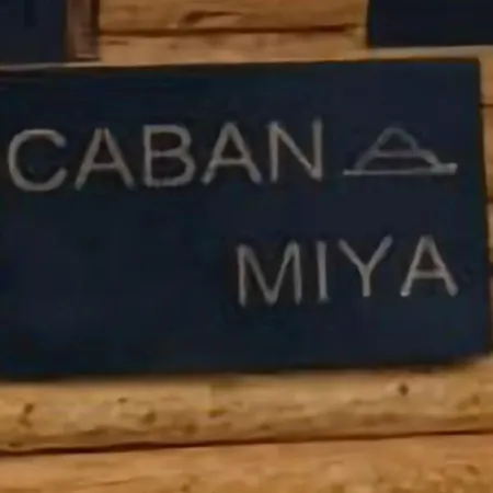 Miya *